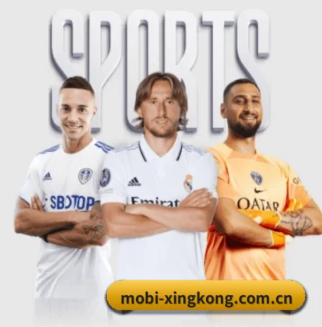 星空体育官网登录入口的故事